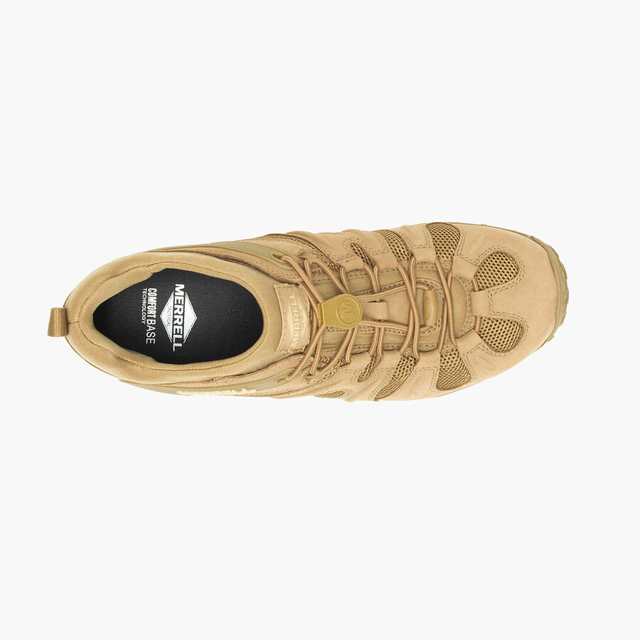 mężczyźni - buty robocze chameleon 8 stretch tactical - buty coyote
