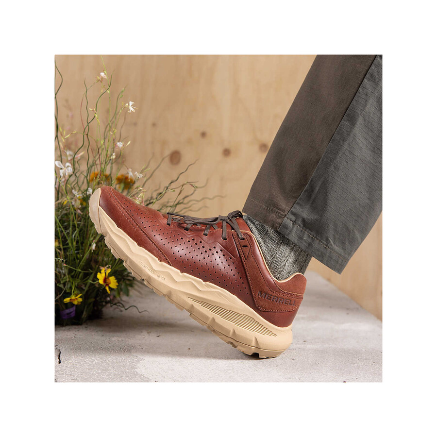 męskie buty casualowe nova 4 traveller lace sequoia